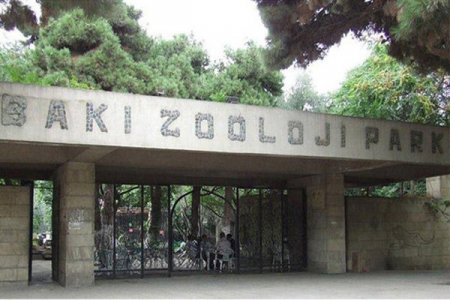 Bakı Zooparkı fəaliyyətini nə vaxt bərpa edir?
