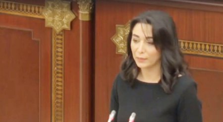 Azərbaycanın yeni Ombudsmanı kollektivə təqdim olunub