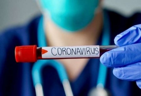 Azərbaycanda tibb işçilərində koronavirus aşkarlandı - SON DƏQİQƏ