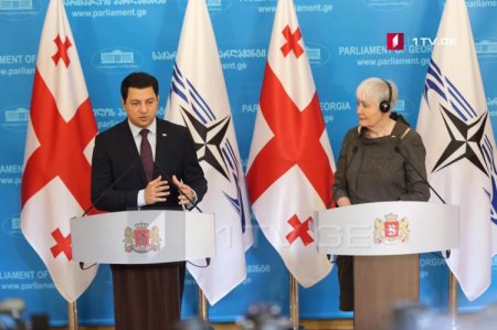 Arçil Talakvadze: "Gürcüstan NATO-ya qoşulmağa hazırdır"