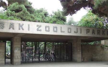 Bakı Zooparkı nə vaxt açılacaq? - "Köhnə parkdan əsər-əlamət qalmayacaq"