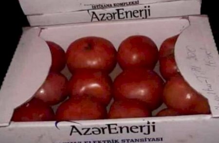 “Azərenerji” “bayram pulu” əvəzinə əməkdaşlarına pomidor verib? - AÇIQLAMA
