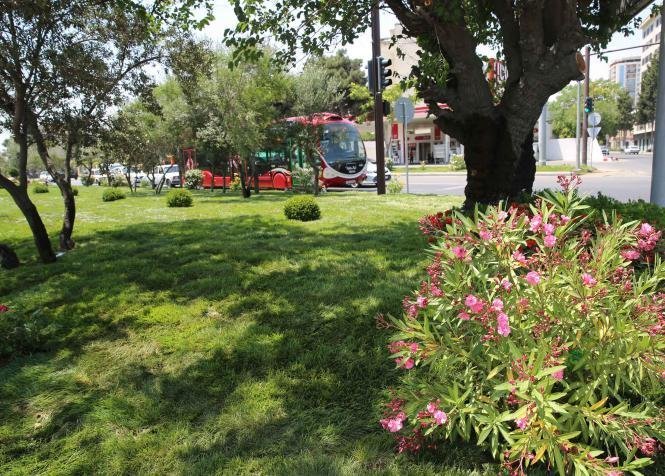 Dövlətə sədaqətlə xidmət edən rəhbər – Qadir Məmmədov